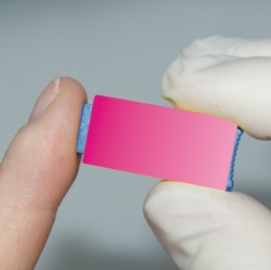 Sicherheitslanzetten 21 G 0,80 x 2,8 mm pink, Nadel (100 Stück) 